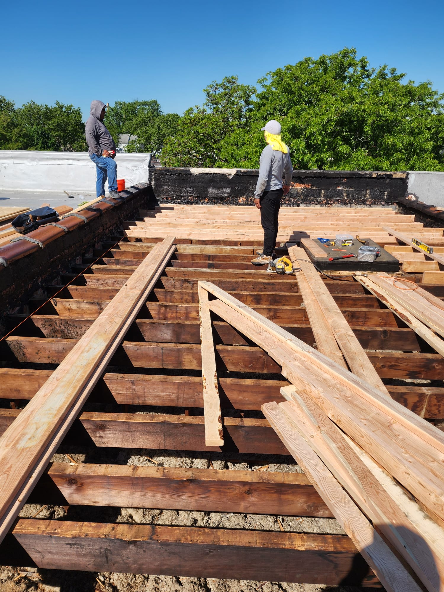 WhatsApp Image 2026-01-21 at 2.27.29 PM (1)